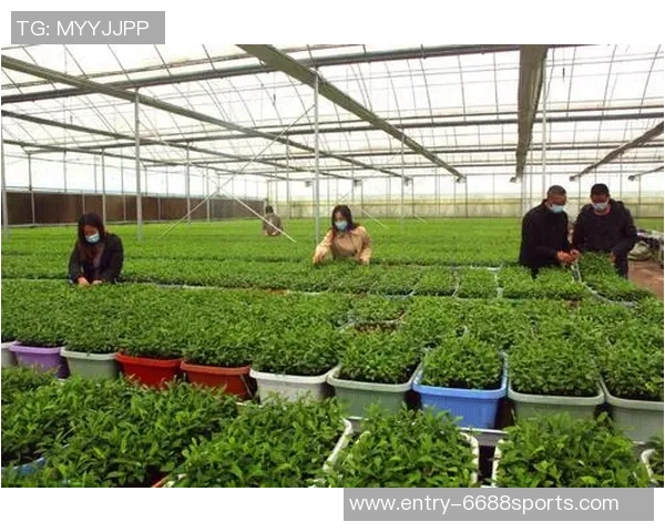 大连西郊乡村体育俱乐部助力乡村振兴打造健康生活新方式